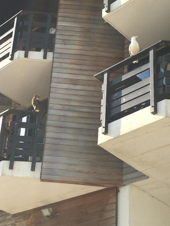 Mon Balcon Face A La Mer - Les Marinas Deauville Dış mekan fotoğraf